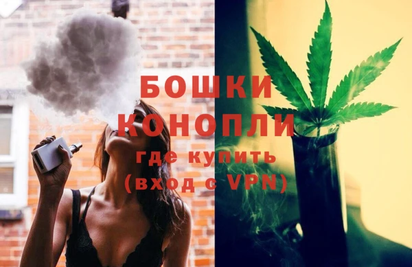 крисы Лагань