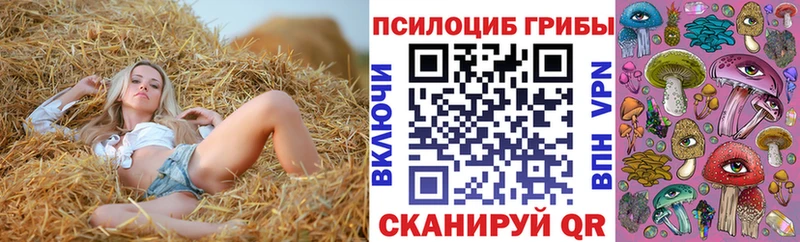 Псилоцибиновые грибы Psilocybine cubensis  mega зеркало  Подольск  где купить наркоту 